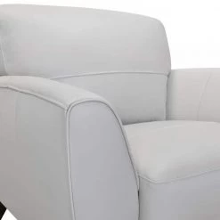 Jedd Contemporary Chair in Genuine Dove Grey Leather with Brown Wood Legs by Armen Living -Armen Living Online Shop brown armen living accent chairs lcjd1dv 4f 1000