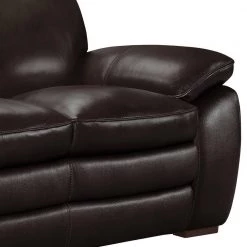 Zanna 68.2 in. Brown Leather 2-Seater Loveseat with Wood Legs by Armen Living -Armen Living Online Shop brown armen living loveseats lcza2br 44 1000