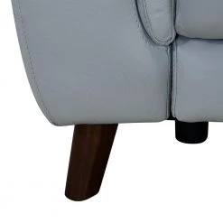 Lizette Dark Brown Wood and Dove Grey Genuine Leather Contemporary Chair by Armen Living -Armen Living Online Shop dove grey armen living recliners lclz1dv fa 1000