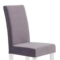 Dalia 40 in. Gray Velvet and Acrylic Finish Modern Dining Chair (Set of 2) by Armen Living -Armen Living Online Shop gray armen living dining chairs lcdachgray 1f 1000