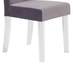 Dalia 40 in. Gray Velvet and Acrylic Finish Modern Dining Chair (Set of 2) by Armen Living -Armen Living Online Shop gray armen living dining chairs lcdachgray 44 1000