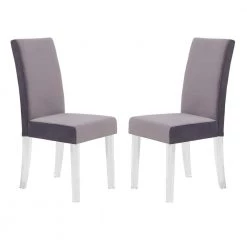 Dalia 40 in. Gray Velvet and Acrylic Finish Modern Dining Chair (Set of 2) by Armen Living