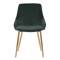 Heidi Contemporary Dining Chair in Gold Metal Finish and Green Velvet by Armen Living -Armen Living Online Shop green armen living dining chairs lchesigldgrn c3 1000